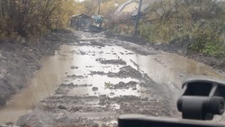 Дома и дороги затопило из-за заболоченной канавы в Александровске-Сахалинском 