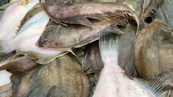 Торговлю свежей рыбой по низким ценам анонсировали сразу в трех районах Сахалина