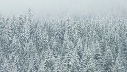 Морозы до -35 градусов и сильный ветер придут на север Сахалина 3 декабря