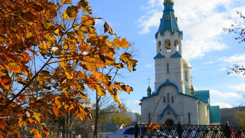 Сахалинские попрошайки могут с легкостью купить на милостыню автомобиль