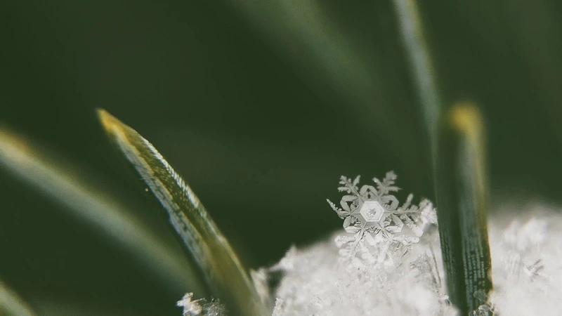 В Южно-Сахалинске первый снег закружился в холодном вальсе