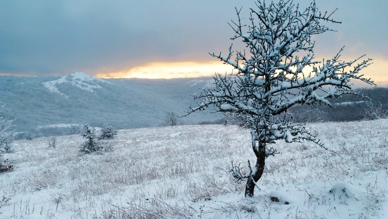 Церковный праздник 17 ноября 2024: что нельзя делать в этот день, приметы