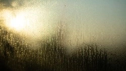 Солнечная погода и небольшой дождь придут в Южно-Сахалинск