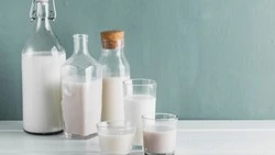 Качество молока и овощей от местных производителей высоко оценили жители Сахалина