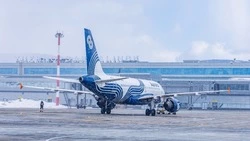 Стоимость авиабилетов из Северо-Курильска на Камчатку увеличилась на 20%