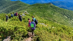 Рекордное число сахалинцев покорили пик Чехова