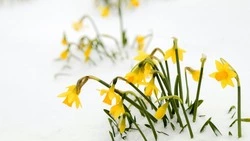 Жесткое ДТП, День флага и возвращение зимы: новости выходных в Сахалинской области