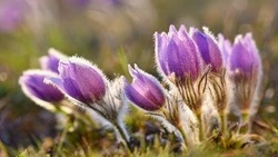 Приметы обо всем на 18 июня 2023 года: что можно и нельзя делать в этот день