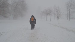 Метель парализовала автобусное сообщение на юге Сахалина