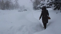 Сильный снегопад спрогнозировали на Курильских островах 25 февраля