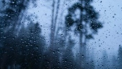 Синоптики прогнозируют дождливую погоду в Сахалинской области 2 июля 