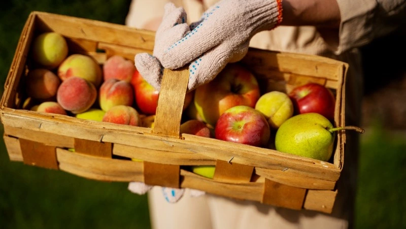 Приметы обо всем на 8 августа 2023 года: что можно и нельзя делать в этот день