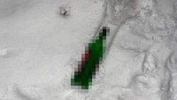 Сахалинке едва не разбили голову выброшенной из окна бутылкой