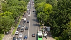 Большинство сахалинских водителей спокойно относятся к машинам полиции в дорожном потоке