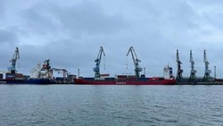 Объем грузоперевозок между Петропавловском-Камчатским и Северо-Курильском вырос на 73%