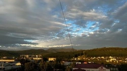 Книжный фестиваль, смертельное ДТП и живодерня в Охе: новости выходных на Сахалине и Курилах