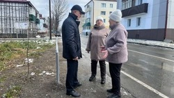 Депутаты «Единой России» и жители Анивы вместе благоустраивают город