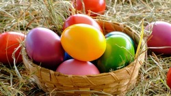 Как покрасить яйца к Пасхе: натуральные красители для ярких цветов
