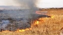 Пожарные ликвидировали 3 случая возгорания травы в двух районах Сахалина