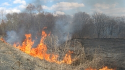 В сахалинском селе Дальнем выгорело 200 «квадратов» травы