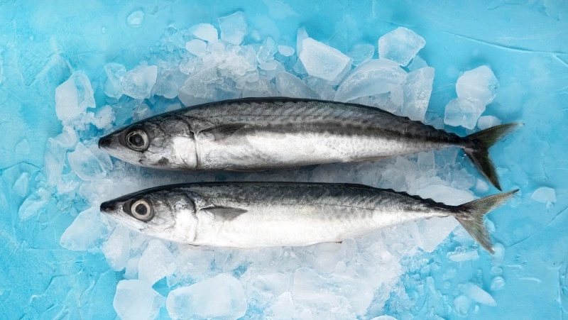 Экспорт рыбы из Приморья и с Сахалина снизился в 4,5 раза за неделю