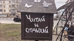 «Унесли книги и сорвали декор»: вандалы разгромили книгообменник в Холмске