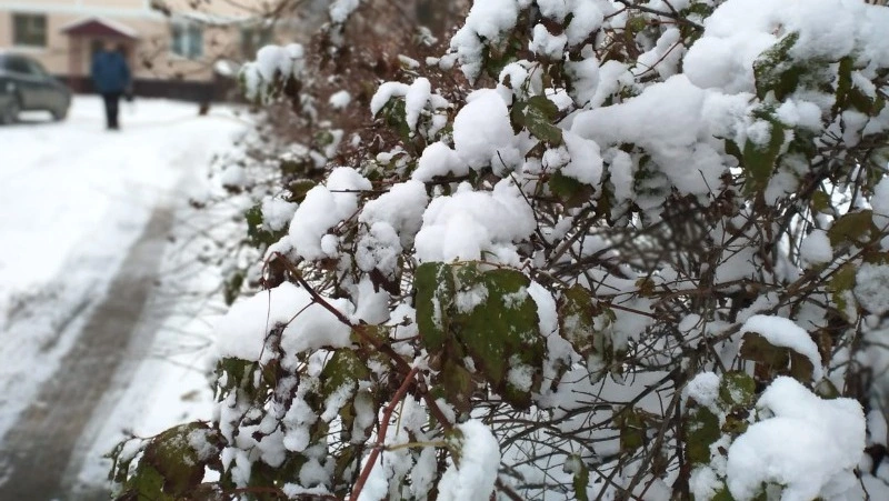 Снег и сильный ветер спрогнозировали синоптики в Сахалинской области 13 февраля