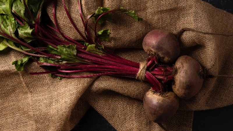 Врач-терапевт Баранова назвала семь категорий людей, кому вредно есть свеклу