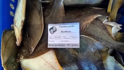 Свежую рыбу по 78 рублей за килограмм предложили жителям Красногорска 10 октября 