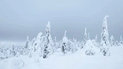 Циклон начнет ослабевать 9 марта в Сахалинской области   