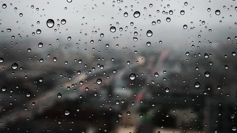 Ливень и штормовой ветер придут в Северо-Курильский район 20 августа