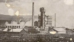 Сахалинка рассказала о ветеране, который развивал целлюлозно-бумажную отрасль