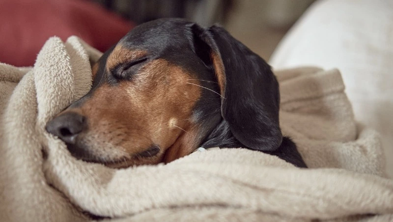 Наркология, детские учреждения и часть Южно-Сахалинска останутся без отопления 22 апреля 