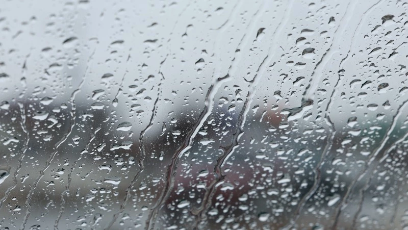 Теплая погода сменится чередой дождей и циклонов в Сахалинской области