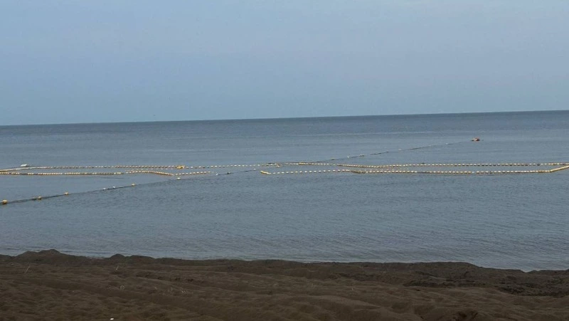 В Углегорском районе стартовал cезон мойвы