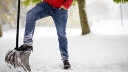 Дачникам Сахалина напомнили о штрафе за неочищенный от снега участок