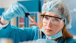 Сахалинский осьминог и гребешок прошли контроль качества — их отправят на экспорт