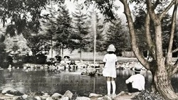 Не сразу все устроилось. О первых годах жизни Сахалина — к 75-летию островного региона