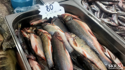 Несмотря на коронавирус, рыбаки обеспечили сахалинцев дешевой рыбой