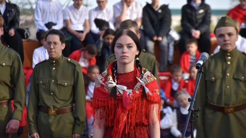 На Сахалине субсидиями поддержали 16 патриотических и зооволонтерских организаций
