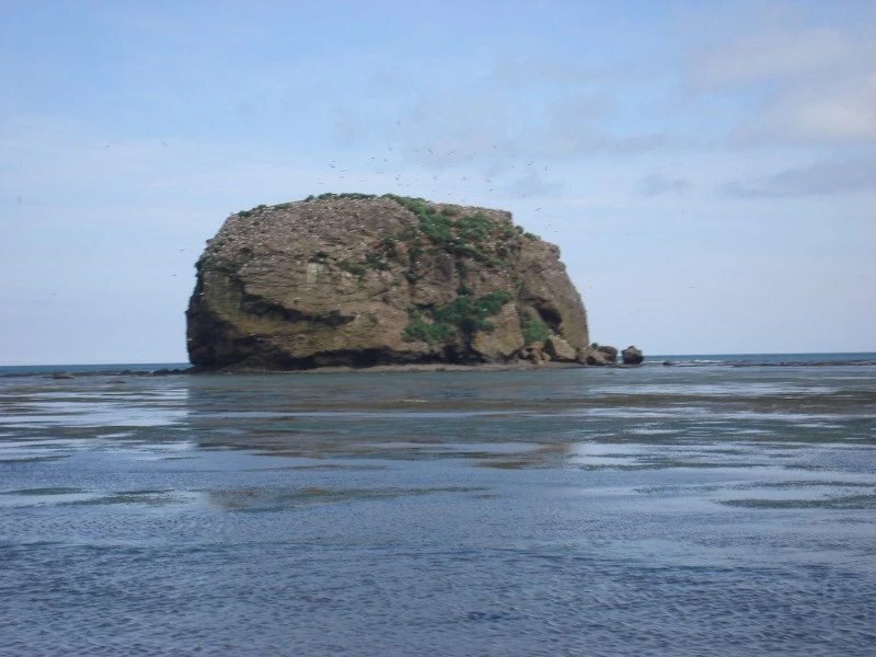 Москвичи и петербуржцы раскупили билеты на первый круиз из Владивостока на Сахалин