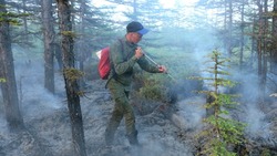 Лесной пожар в Охинском районе Сахалина локализовали, но он вырос в 2,5 раза