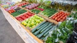 На Сахалине увеличат выпуск востребованных у островитян видов сельхозпродукции