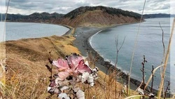 Валерий Лимаренко обратил внимание жителей Сахалина и туристов на мыс Евстафия