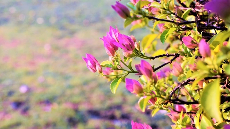 Алексей Теплый в 2025 году: история и традиции праздника, что нельзя делать