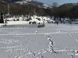 Жители Южно-Сахалинска пожаловались на ужасное состояние горки в городском парке