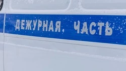 Трое жителей Корсакова вынесли из чужого гаража шины и медь