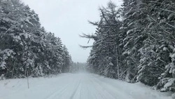 Участок федеральной трассы Южно-Сахалинск — Оха перекрыли из-за метели