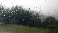 До +11 градусов и небольшой дождь: синоптики рассказали о погоде 19 апреля в Сахалинской области