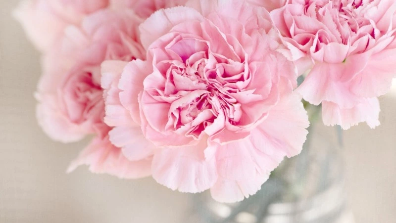 Мэр Поронайского района назвал труд учителей особенной профессией